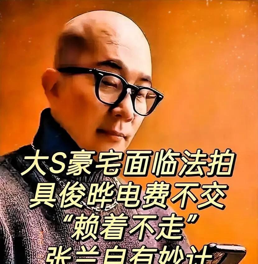 大S家又炸锅了！亲妈突然跳出来捅破窗户纸，把大女儿离婚的锅甩给小女儿。老太太