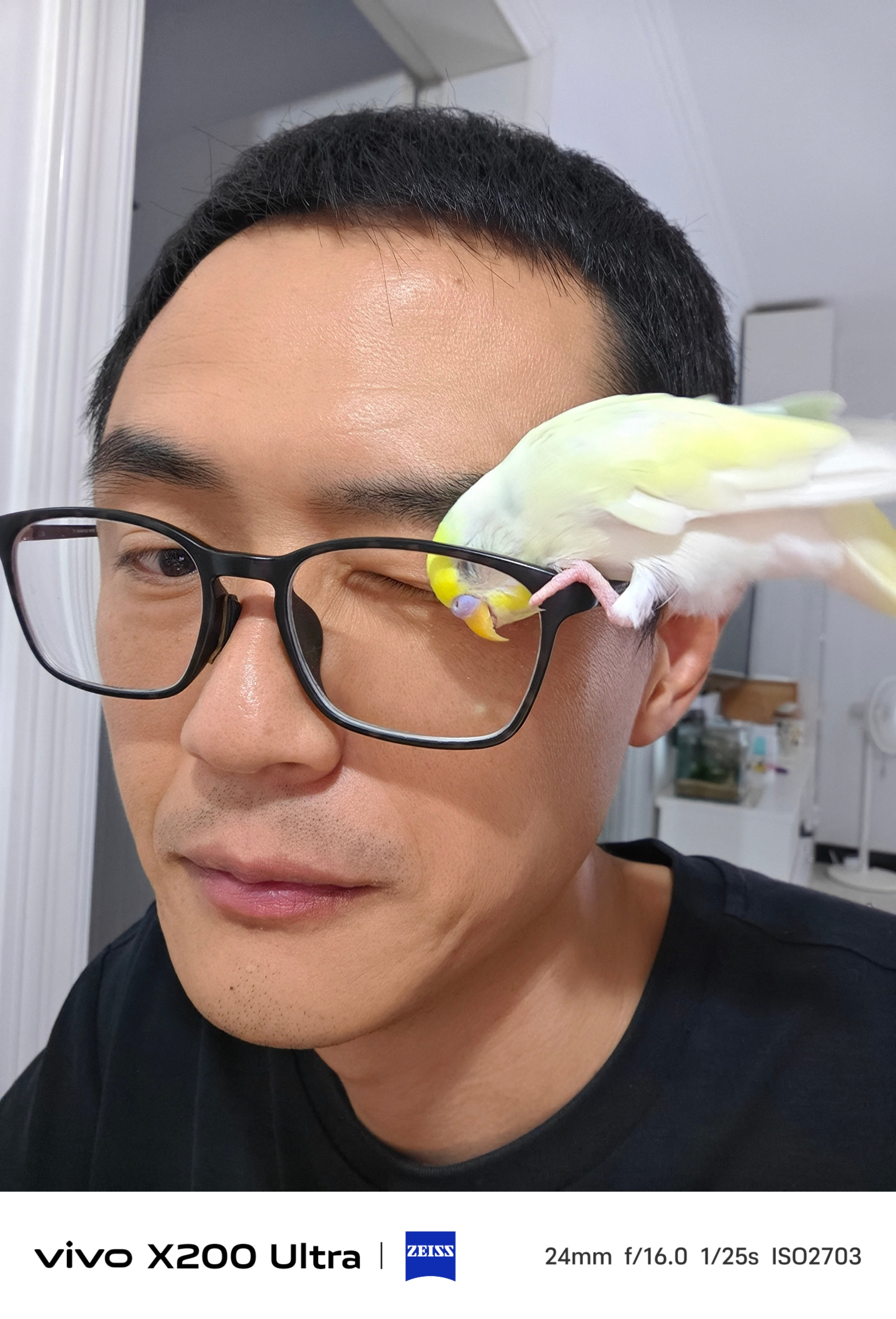 布丁又想吃我眼珠子😡鹦鹉小蓝和布丁vivo​​​