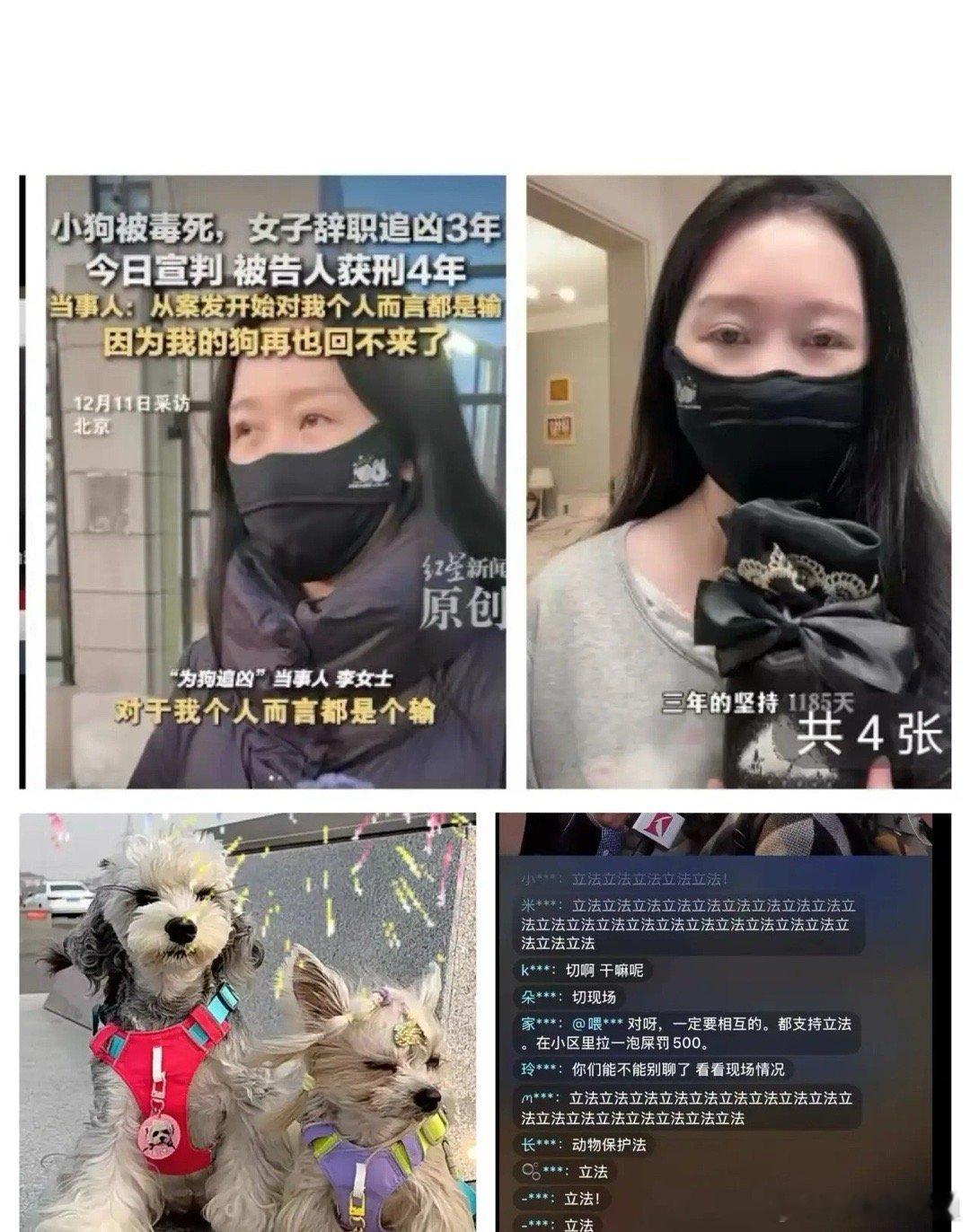 小区11只狗狗被毒死，主人辞职追凶3年，全国首例宠物中毒公诉案今日一审宣判。法院