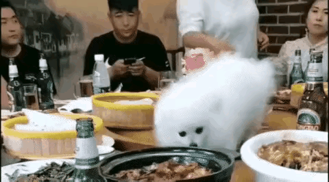 真离谱！狗上桌跟人抢菜吃，一桌人敢怒不敢言，尊严何在？真是活久见，聚餐居然
