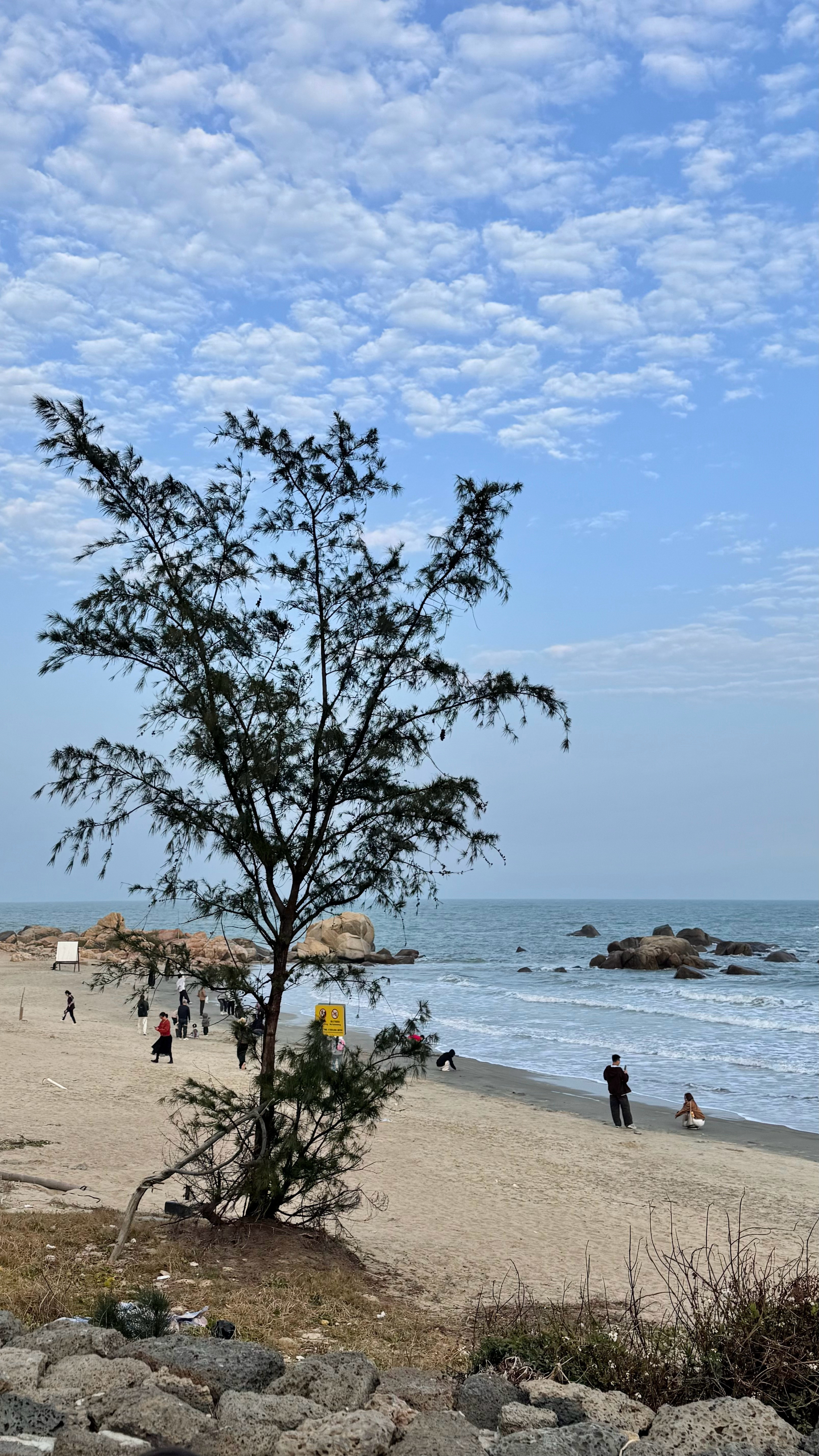 赶在日落前🏜️