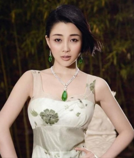 当年，殷桃在富豪孙东海的疯狂追求下，成为了他的女人，没想到孙东海又惦记上了女星李