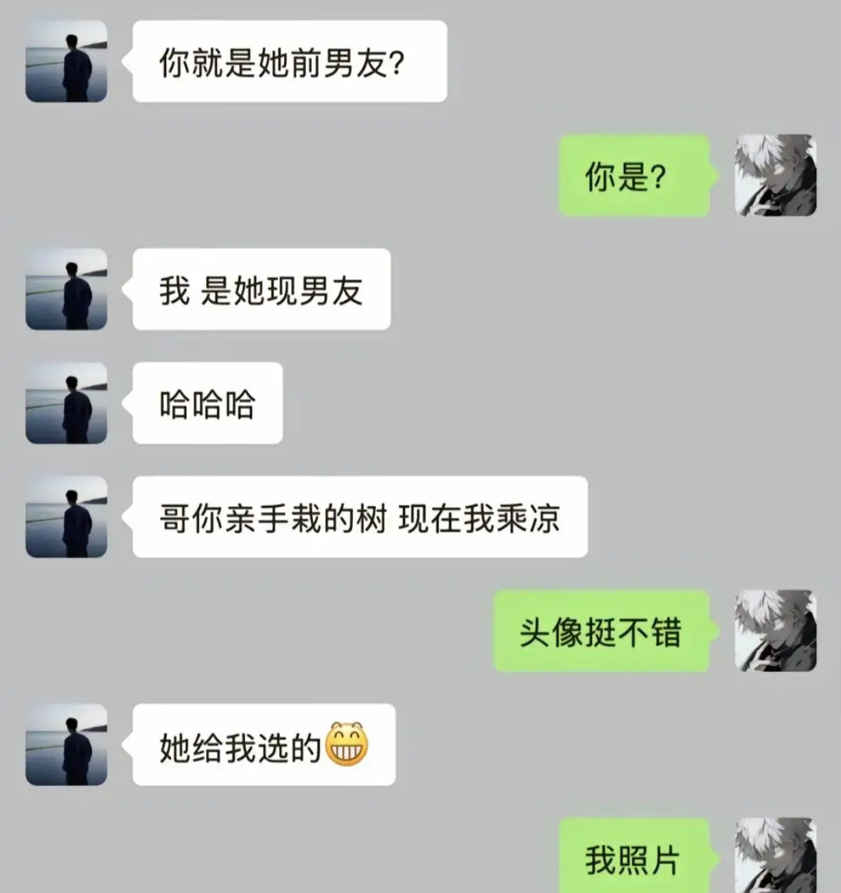 哥你亲手栽的树现在我乘凉