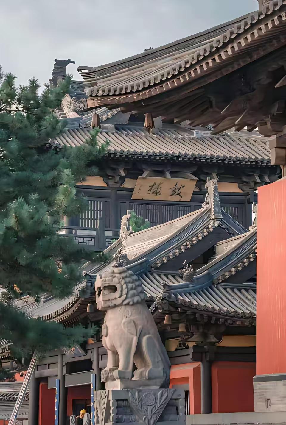 婚外情玩玩就行了，还要闹离婚，更恶心的是还想复婚，笑死。别傻了，你可以陪人