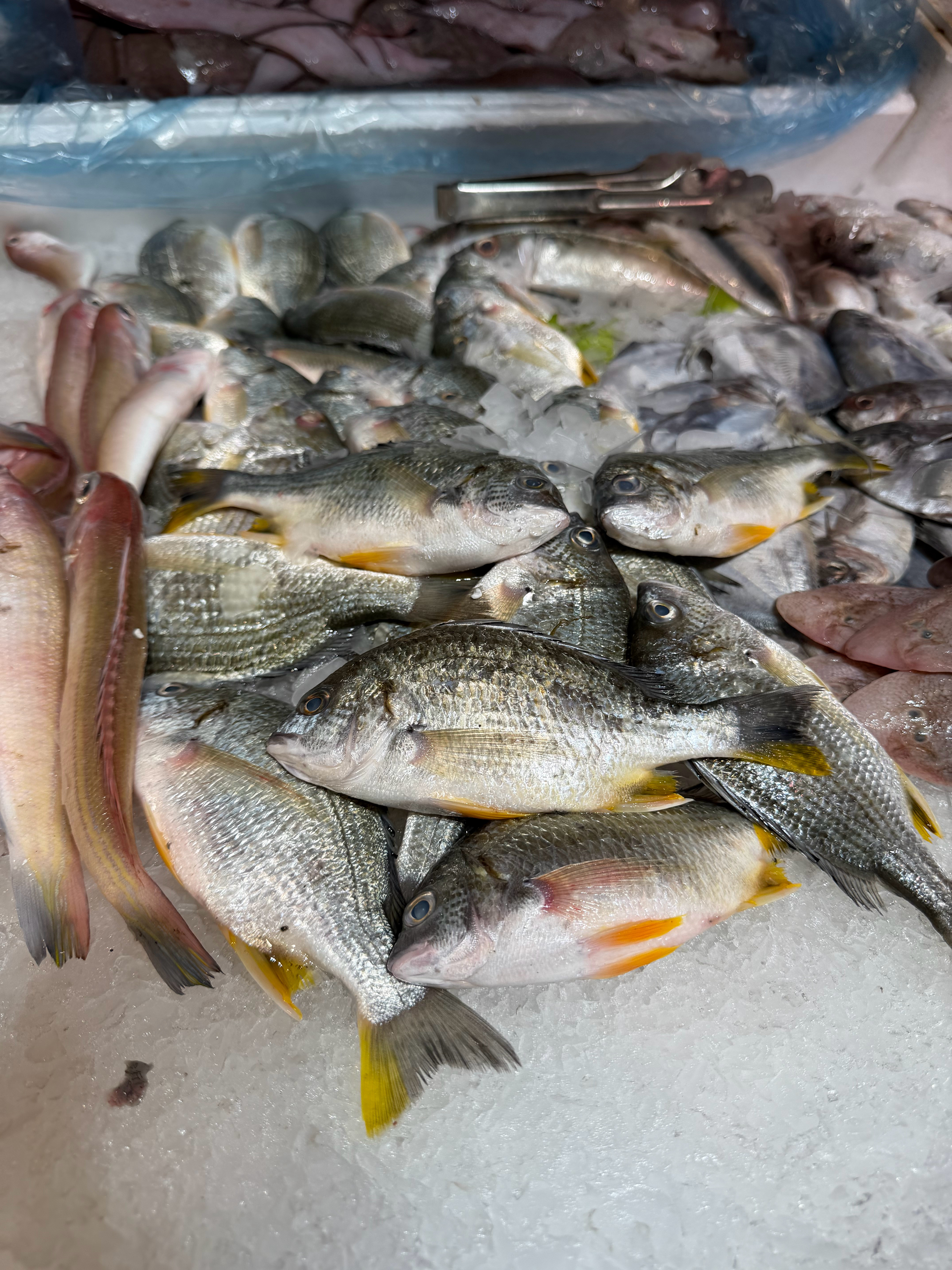 天津熬带鱼的手法烹制广州市场里的黄鱼和黄脚立！蔡澜先生说世界上最好吃的鱼🐟这就