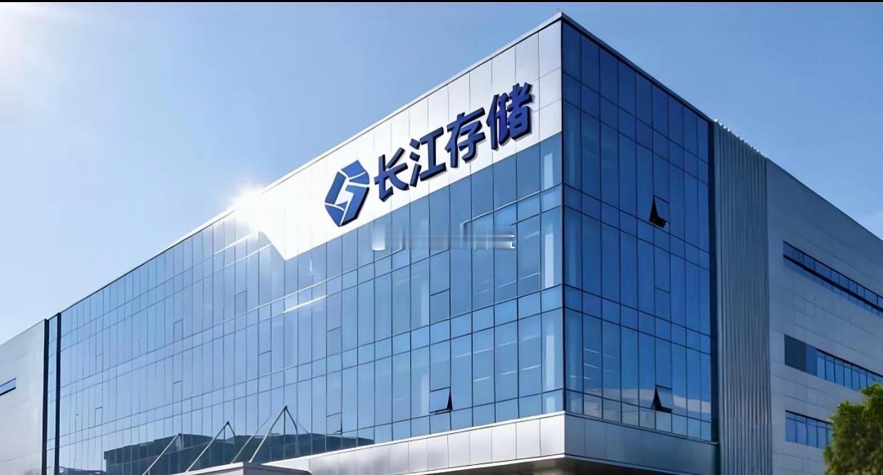 比华为还赚钱你上市来干啥呢？很多人在讲宇树上市能理解，一年就那点利润不够用嘛！但