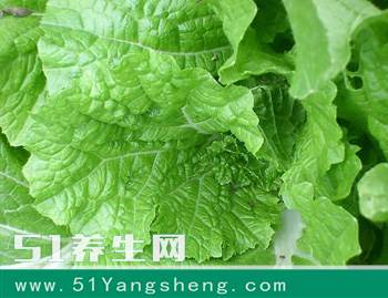 白菜不能和什么一起吃? 白菜和它一起吃等于“服毒”, 别在一起吃!