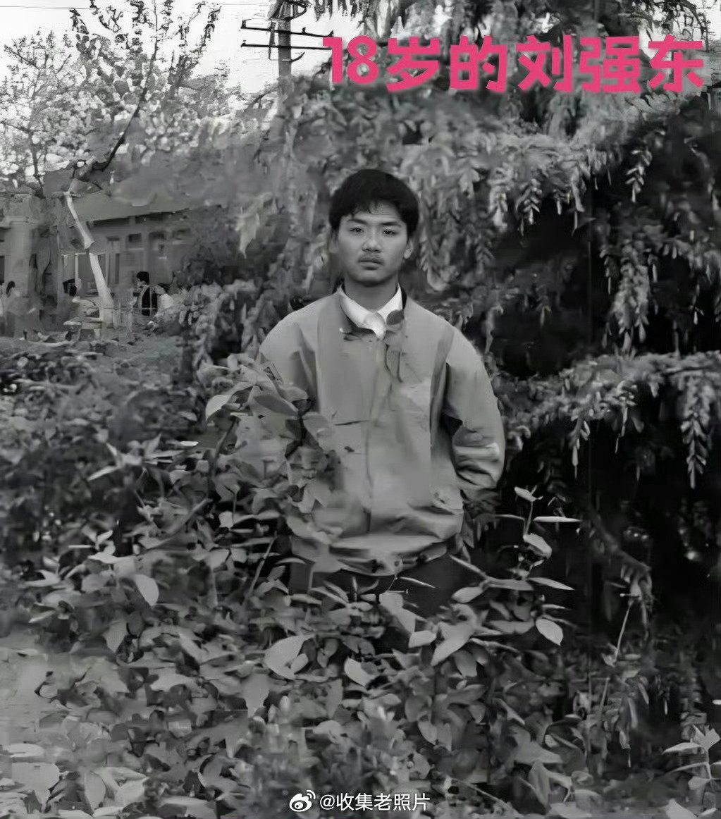章泽天的情商，说这个有意思吗？刘强东的18岁vs章泽天的18岁证明只要你肯努力，就会收获希望。[玫瑰