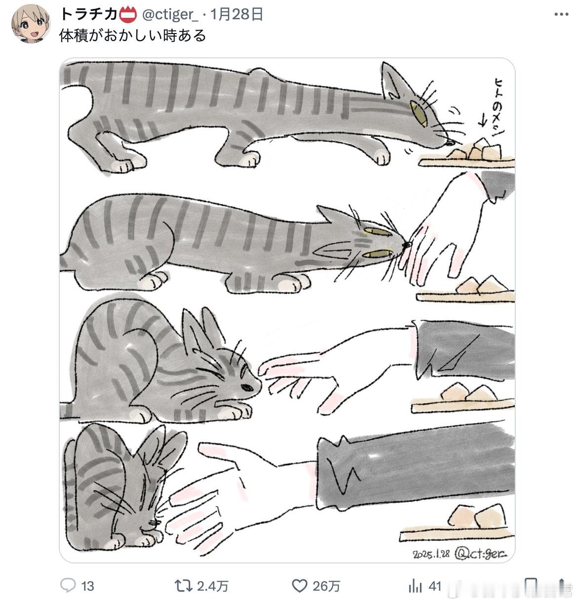 不可思议的猫猫体积[doge]