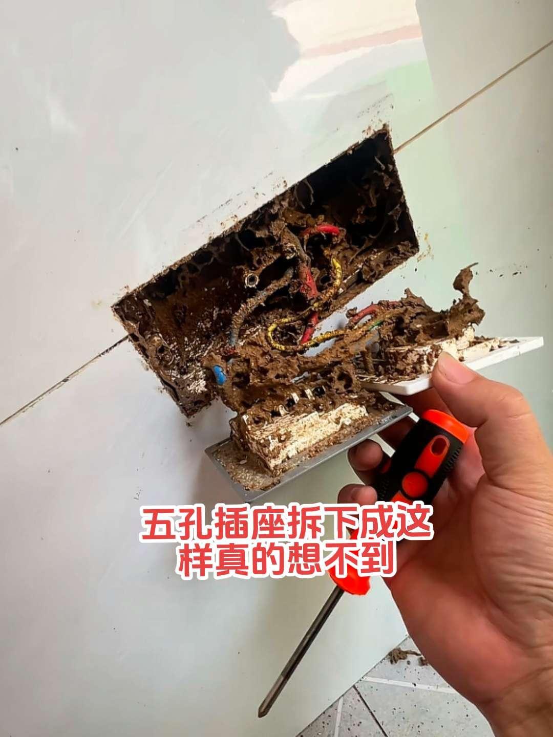 线路短路故障，电工师傅上门维修。拆下厨房这两个五孔插座，看到这一幕真不知道到底经