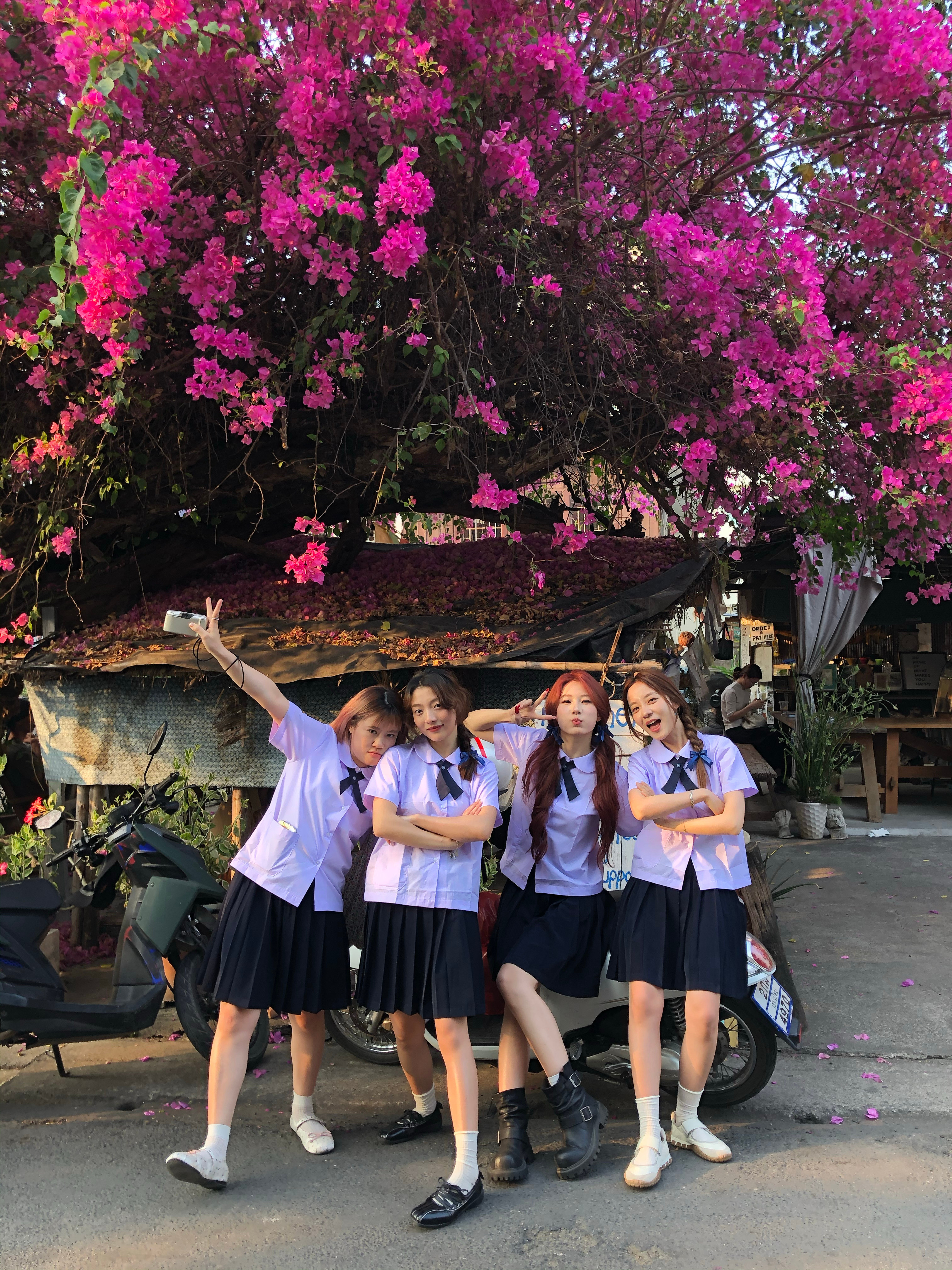 又一次清迈旅行结束！！这次是夕阳红全女团hhh和女孩们在一起时感觉自己更会