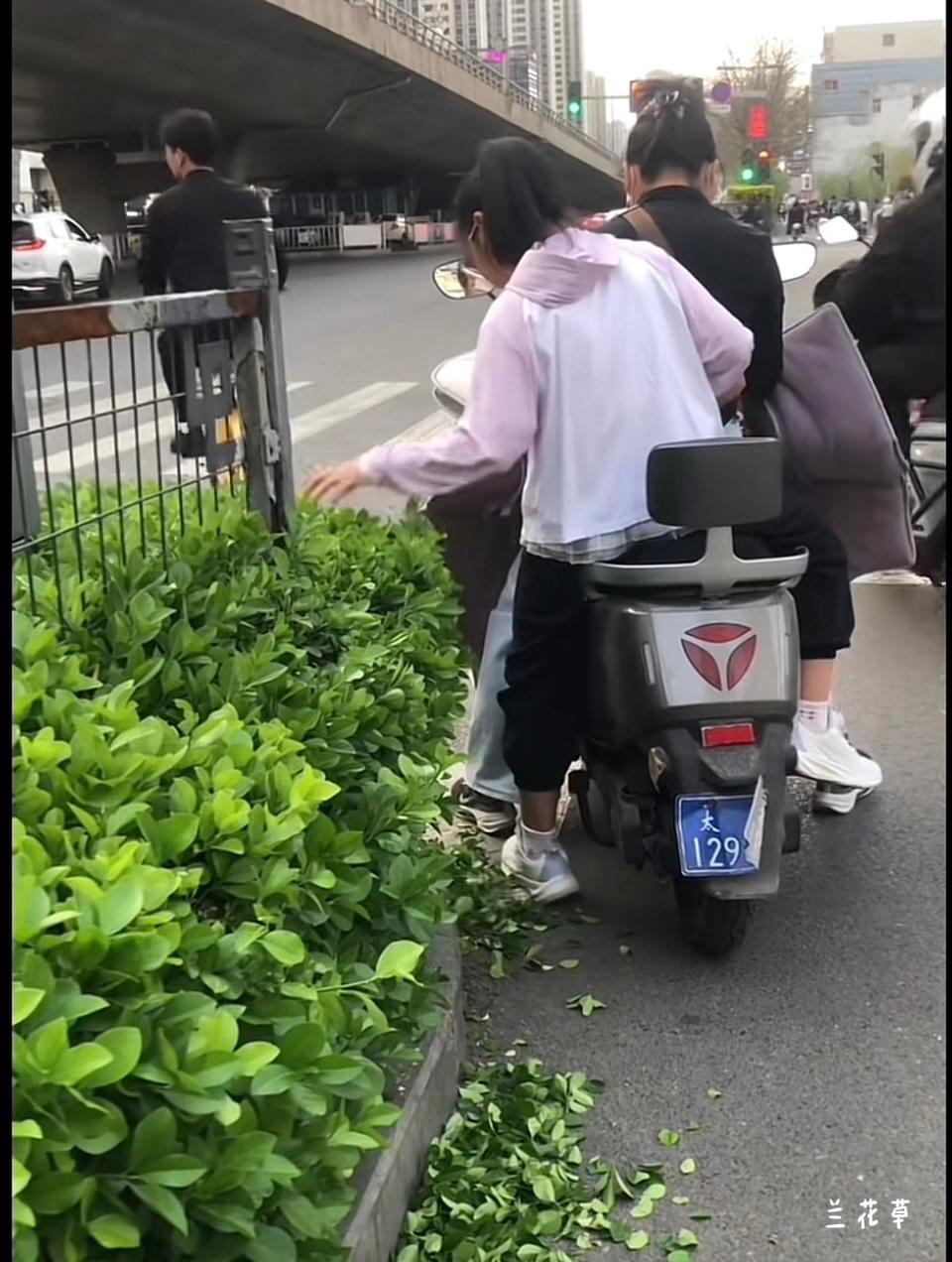 我们的社会哪里出了问题？看到一个小视频：在等红绿灯的时候，坐在大人车后座的一个