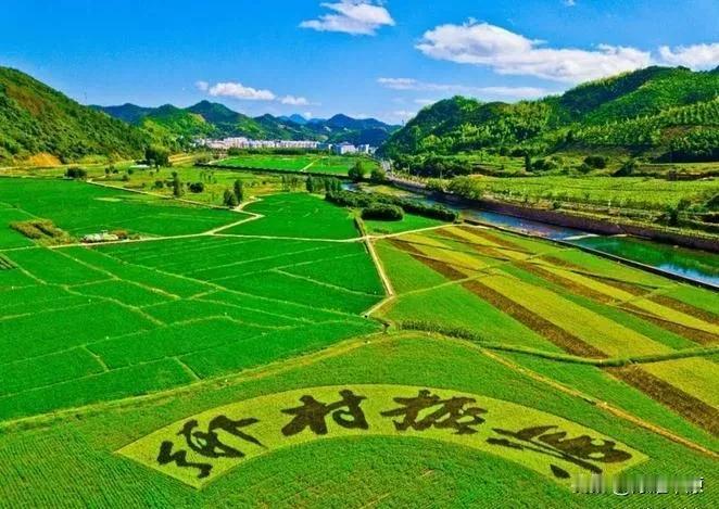 想要乡村振兴，提高农民收入是根本！来源:逍遥论经乡村振兴战略是实现中华民