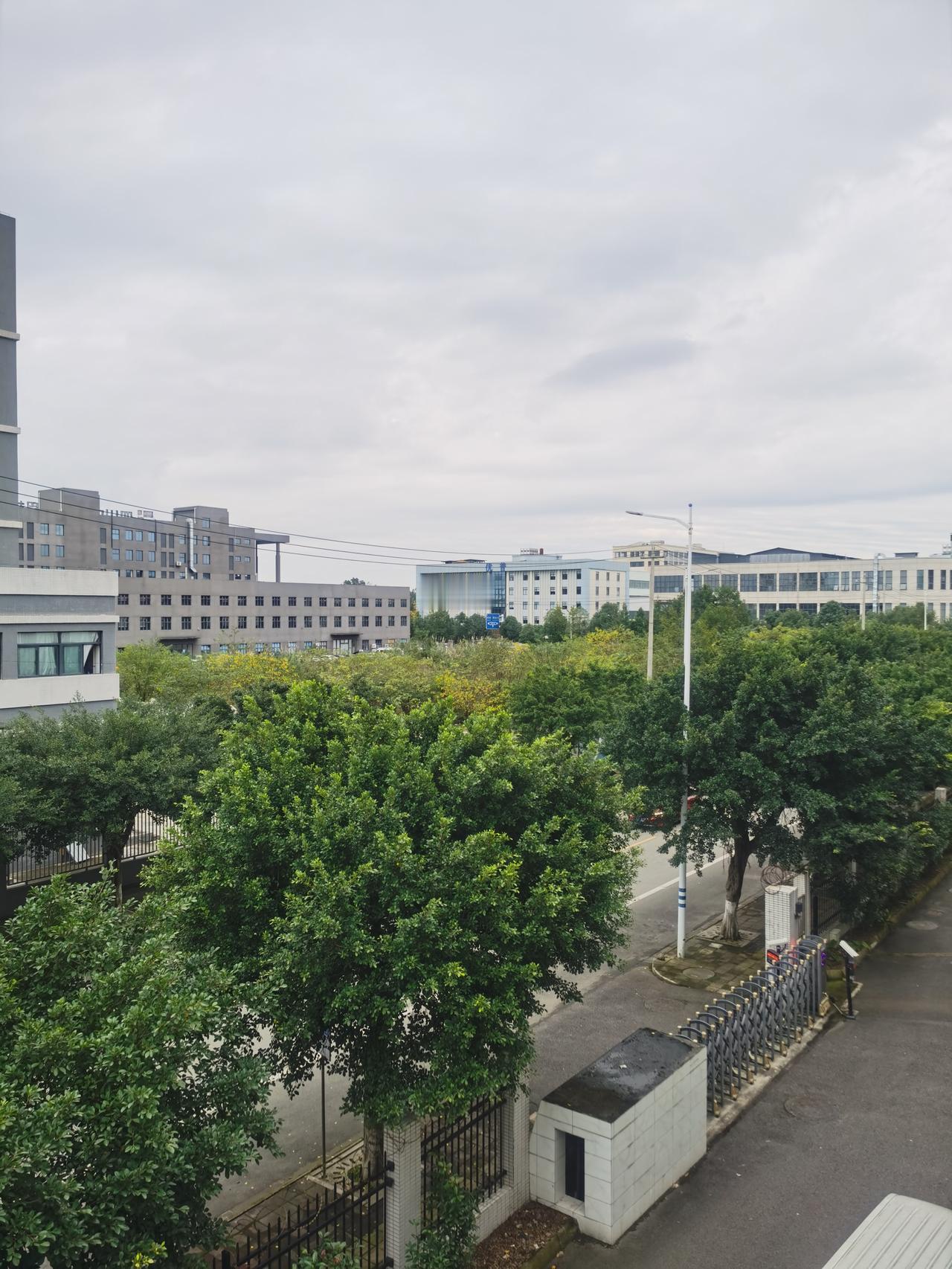 成都这几天上了央视新闻，不是因为美食，不是因为大熊猫，而是因为秋天日照时