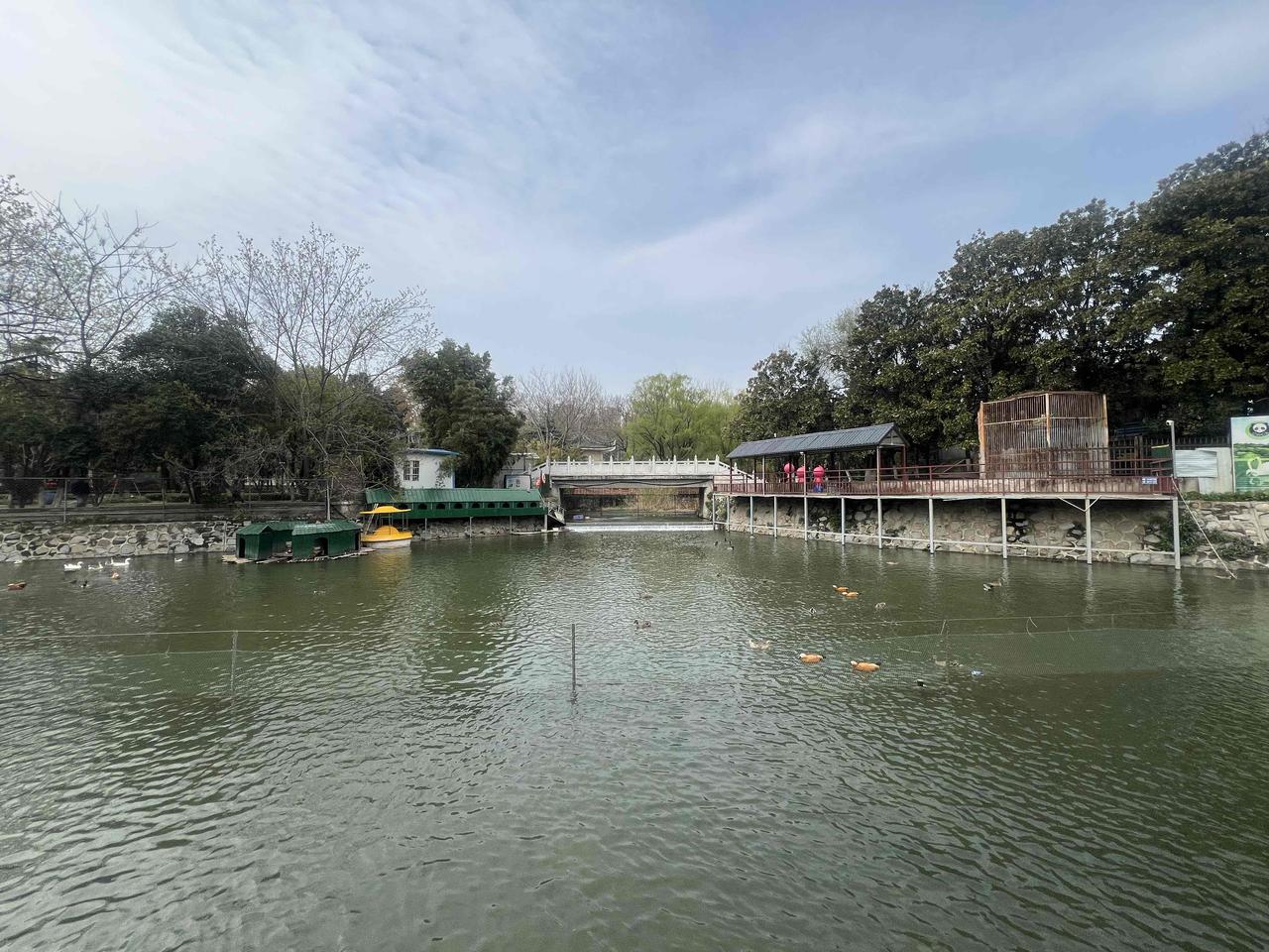 今天去南阳市人民公园逛了逛，不得不说环境是真不错。这个公园始建于1958年，是开