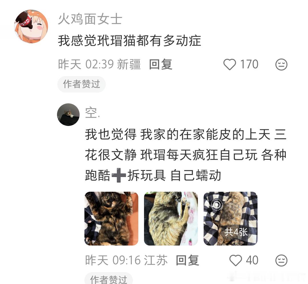 以防你们没见过小猫瞬移