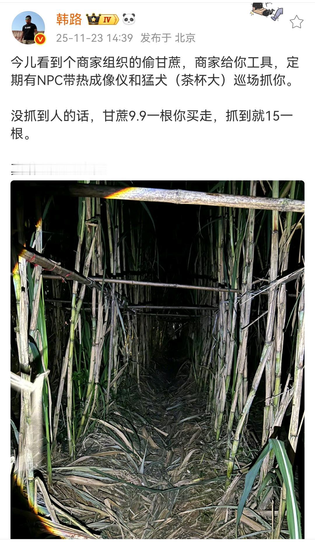 韩路：今儿看到个商家组织的偷甘蔗，商家给你工具，定期有NPC带热成像仪和猛犬（茶