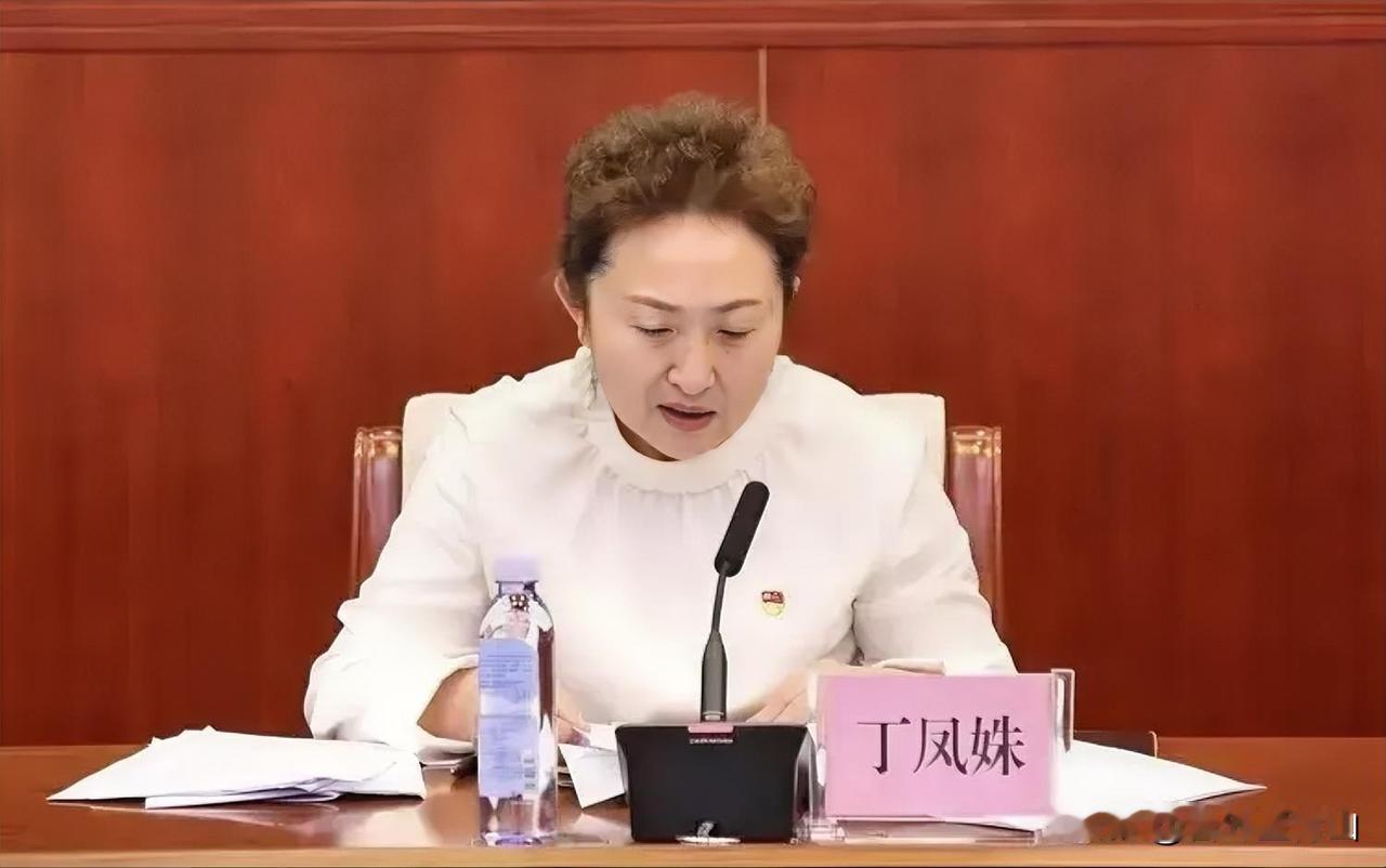 北方小年前夕的一条大鱼出水，这次是在哈尔滨，医疗领域的权威专家。丁凤姝气质出众，