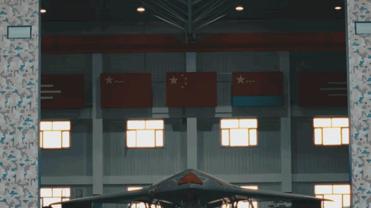 威龙01那就是歼-20S了，“玄龙08”就是央视军事所说的“新家伙”了。玄龙无