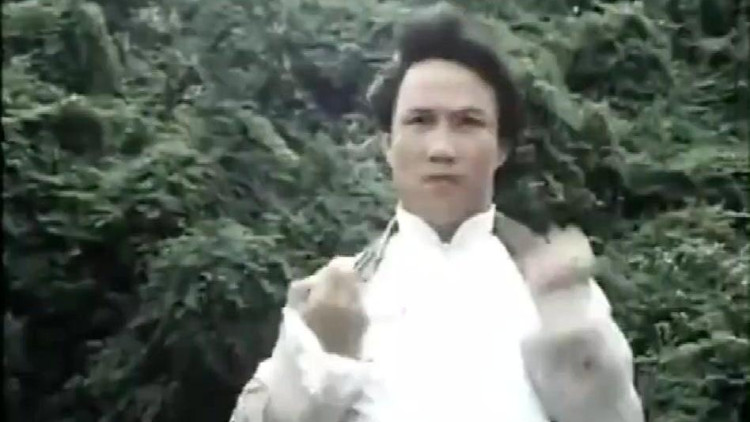 霍元甲的打斗拳拳到肉,陈真再现中华武术之魂