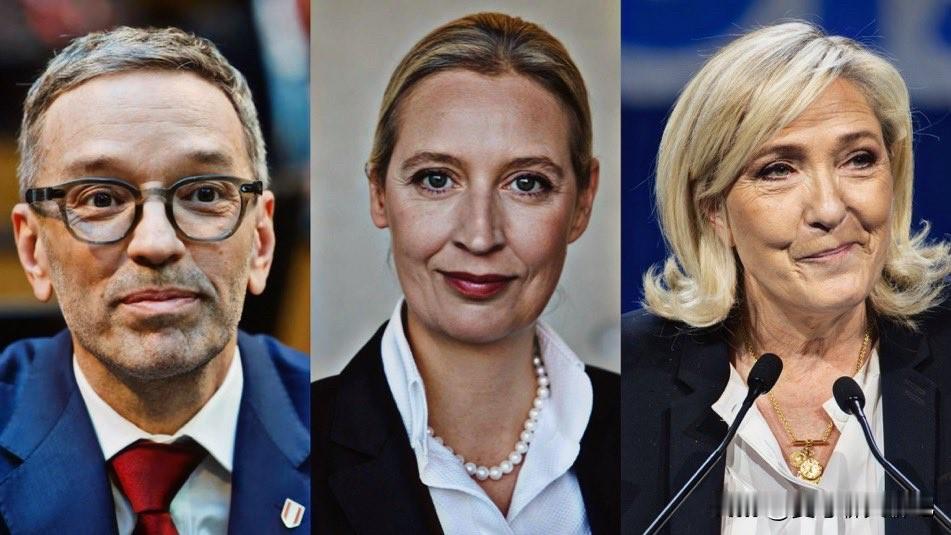 奥地利自由党在民调中排名第一，法国国民联盟党在民调中排名第一，德国选择党在德国民