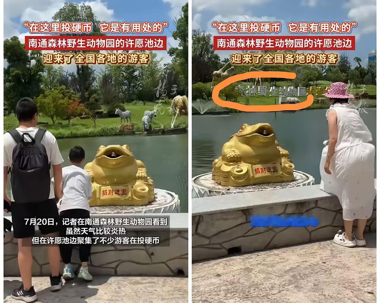 一觉醒来，南通动物园彻底坐不住了，不就是捐了许愿池里的金币嘛，没想到马上就
