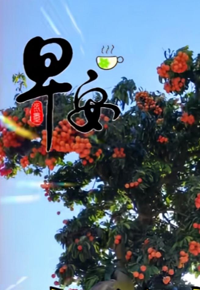 人生相識不容易，感恩緣分能相遇，真誠友誼不放棄，清晨頭條來相聚。早安吉祥