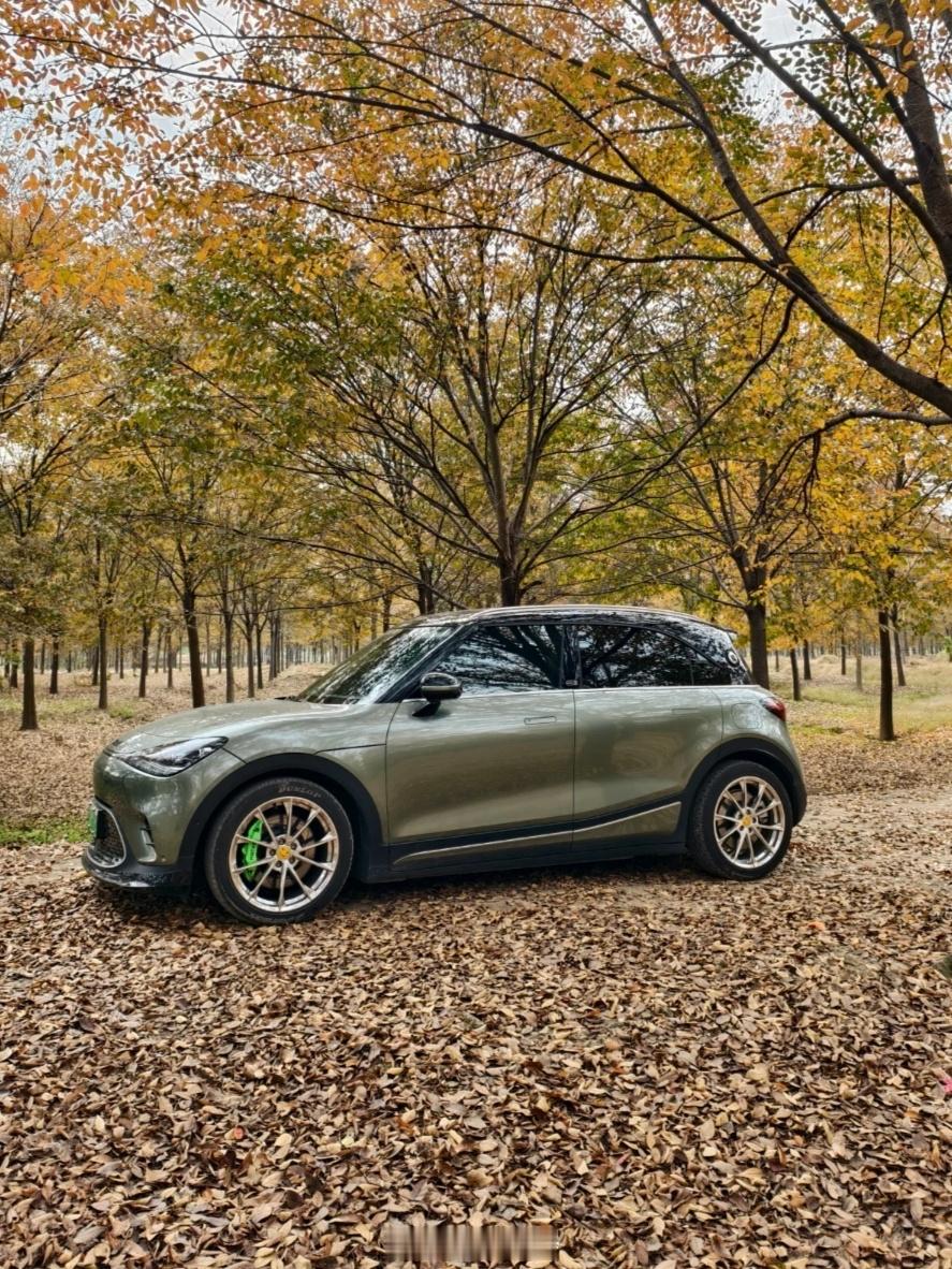 一台车两种改装风格，你喜欢哪种？