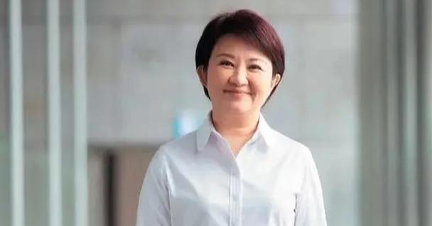 6月5日傍晚，台湾地区台中市政府宣布，市长卢秀燕将于6月6日率团窜访德国、捷克、