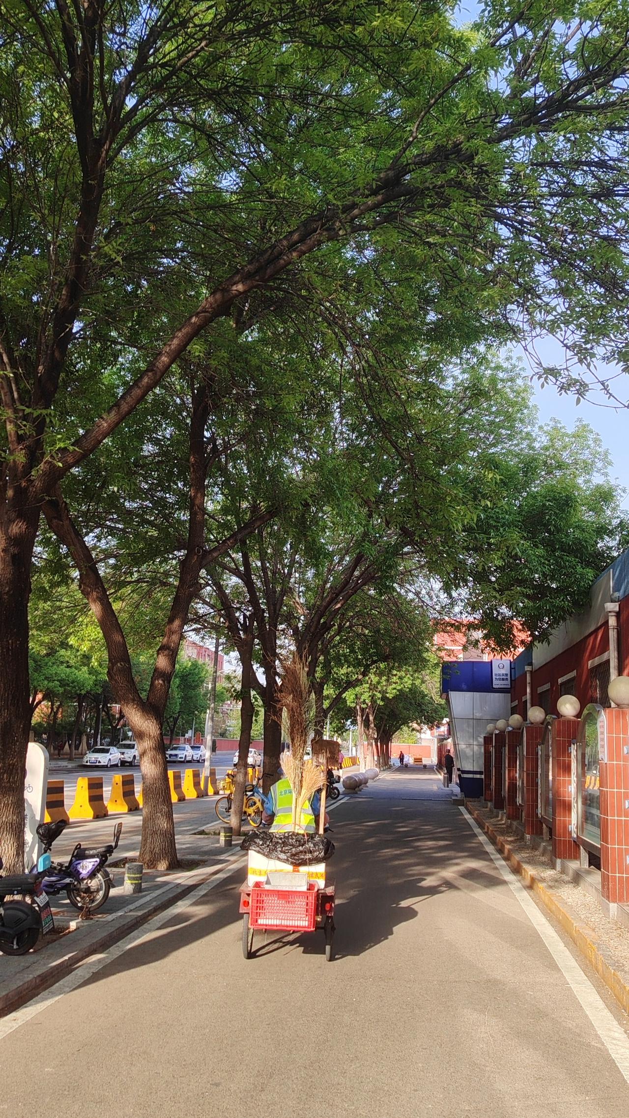 警句：“种树最好的时间是十年前，其次是现在。”小故事：一位老农在荒山上种