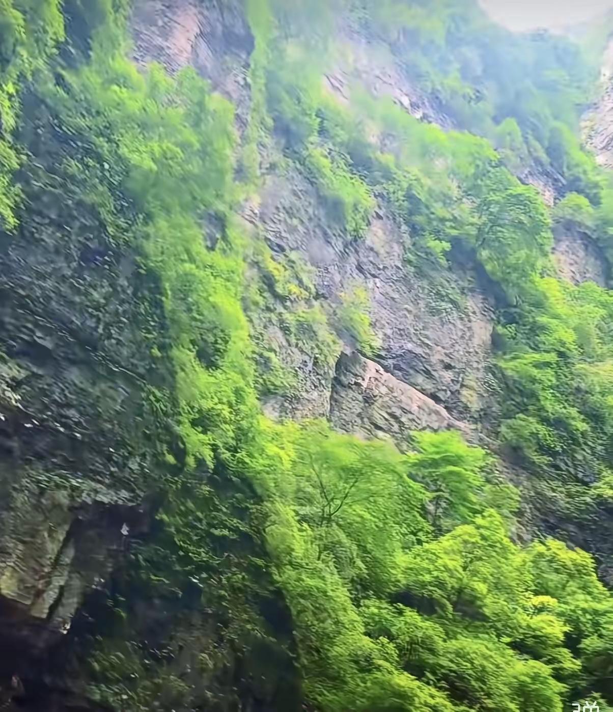 很多女生在婆家受委屈，未必是婆婆刻意刁难拿捏。婆婆既不出钱也不出力，还生活在