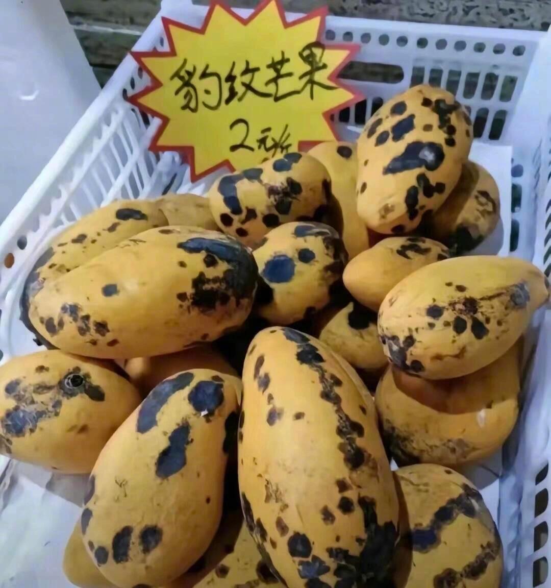 诡计多端的水果们​​​