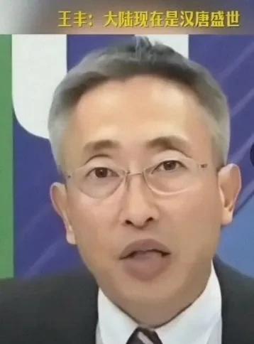 王丰又来上海了，感叹“翻天覆地”。他是岛内少有倾向大陆的媒体“中国时报”的社长