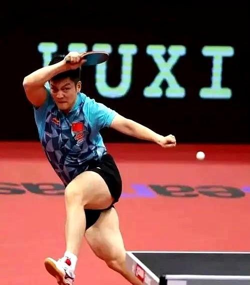 不得不说，真正的牛人，真是从小就抢手。就说樊振东吧，他11岁的时候，人已经在