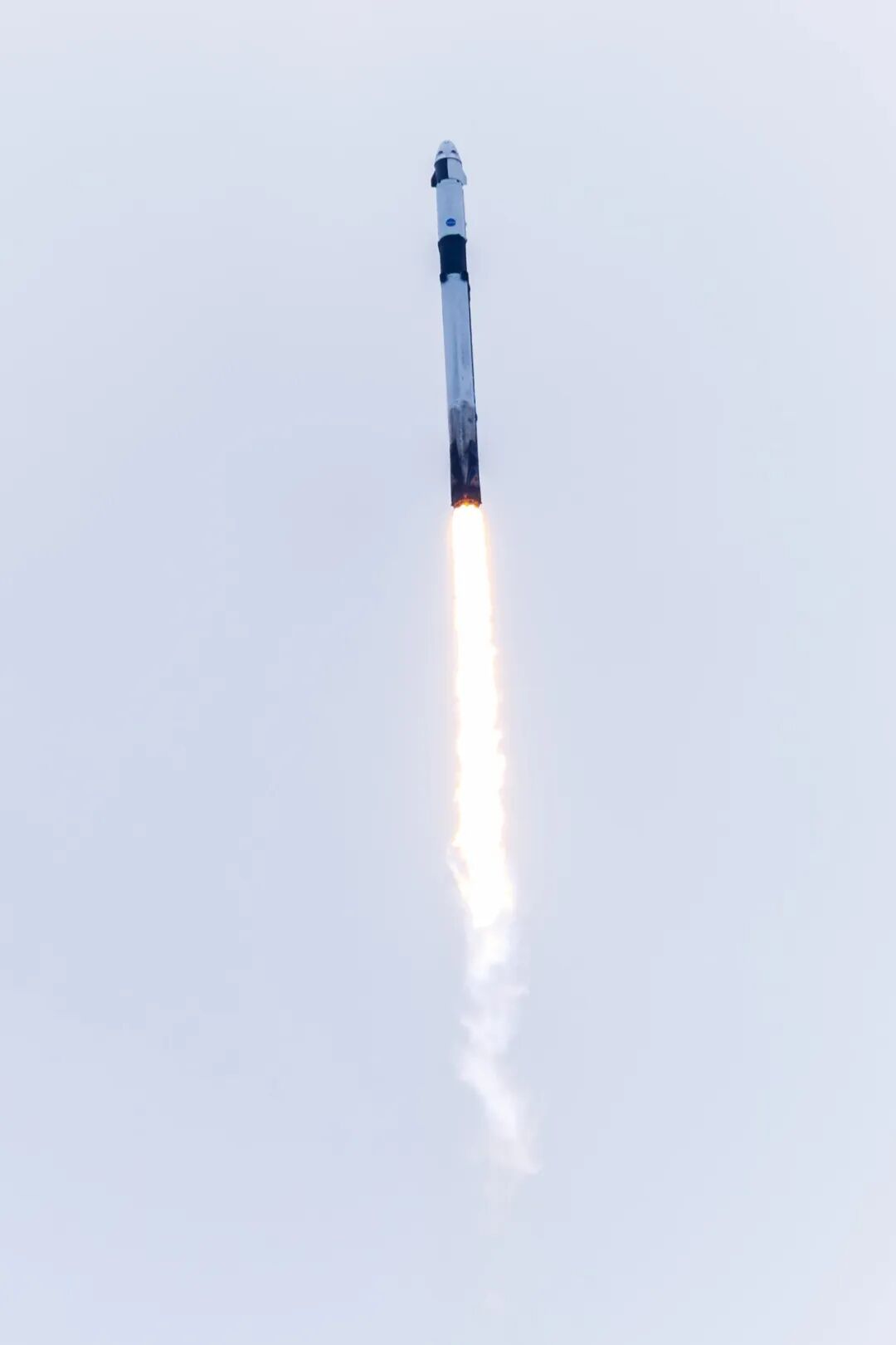 发射成功！航天太空探索助力计划【SpaceX“猎鹰9号”火箭成功发射，搭载Cr