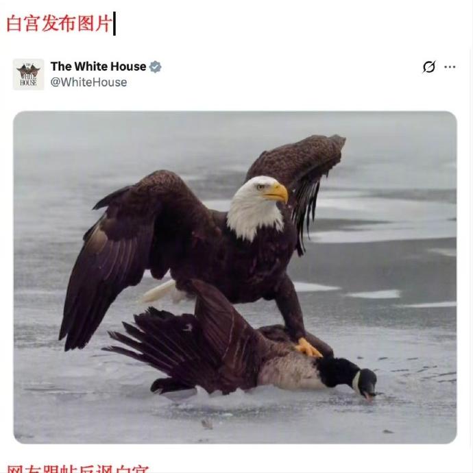 白宫“鹰压鹅”翻车，特朗普改湖名又被怼：虚张声势能唬住谁？白宫8月26日发了