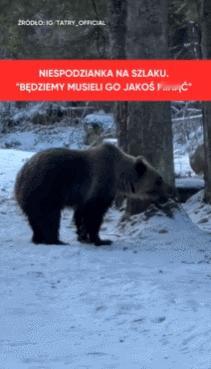 据媒体报道，日前在塔特拉山北坡河谷带扎科帕内（隶属于小波兰省）附近科谢利斯卡山谷