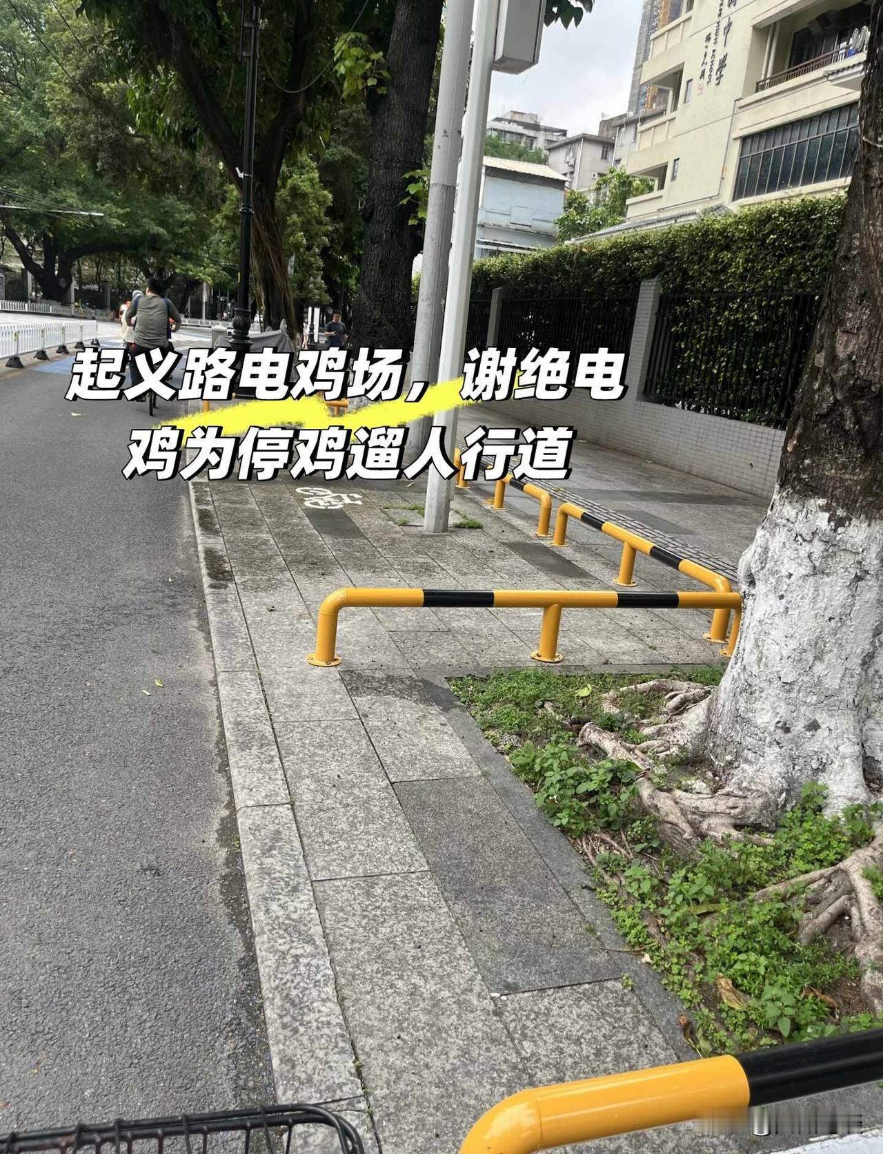 【重磅】“一石三鸟”，广州推出“安步”计划，解开三方纠缠的结，破解行人、电鸡、小