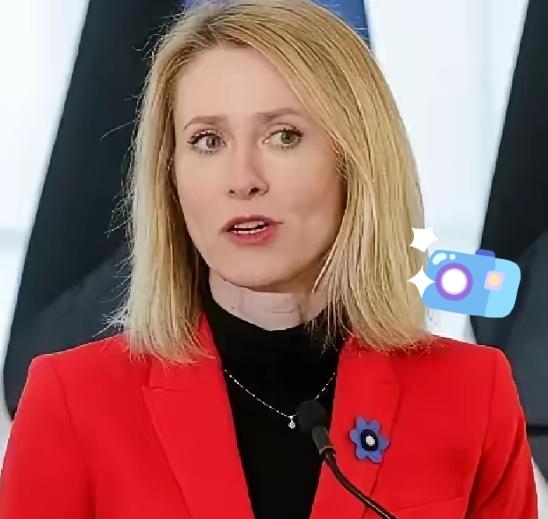 欧盟这扇门，突然焊牢了！欧盟正式打响“清算战”，只要在乌参战过，甭管是军官、士