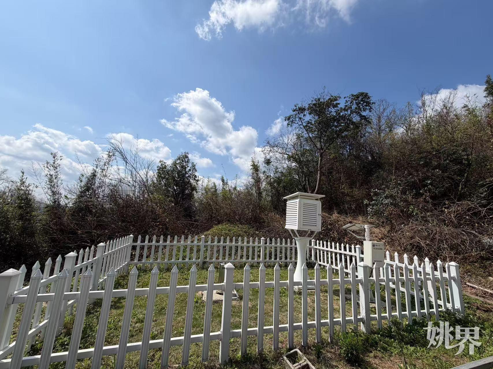 余姚多措并举为茶农撑起致富安心伞余姚现有茶叶种植面积6万余亩，高山茶园易受早春