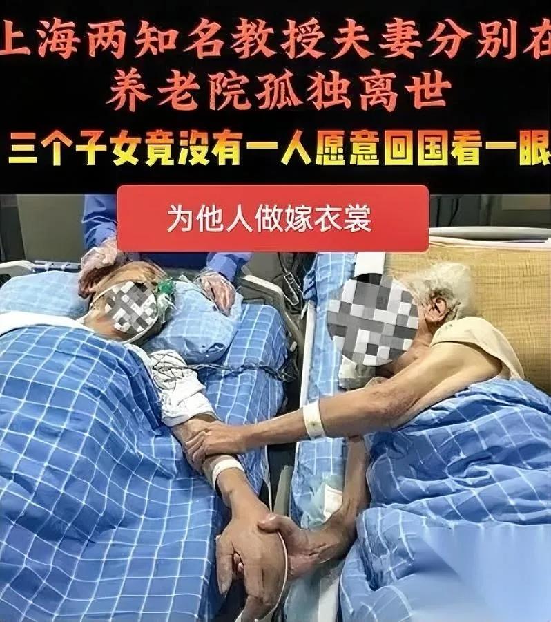上海俩教授夫妇走得太让人心寒养了三个外人眼里的顶级学霸，全拼进了海外名校