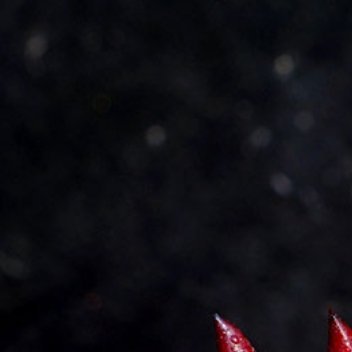 种植2000血罗的种植方法一、光照时间首先需保证充足的光照时间，让叶片进行6个