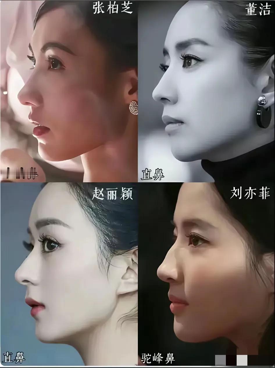 直鼻是最好看的鼻形水滴鼻，驼峰鼻和直鼻三种鼻形从侧面看都非常的立体感极强张柏