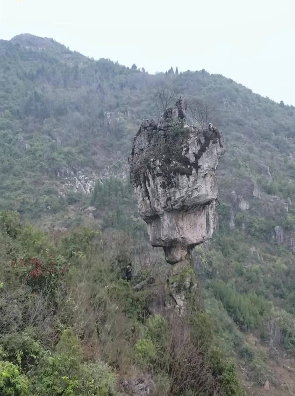天下奇石千千万，唯独云南“陀螺石”最称奇。在云南曲靖境内大山中，有一块“不倒翁