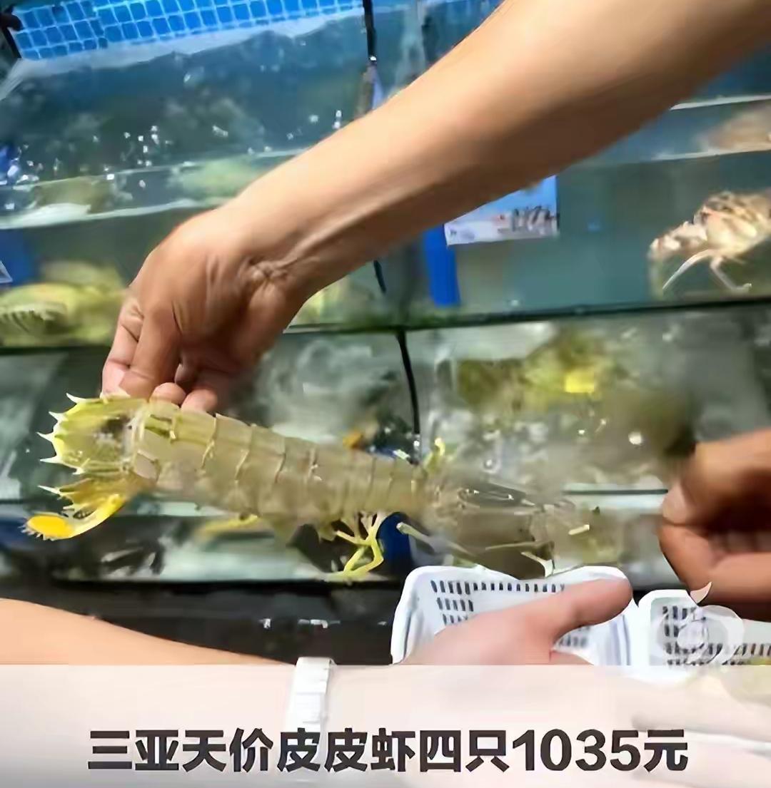 三亚四斤皮皮虾卖1035元的事终于是搞清楚了，商家流程合法合规，不存在天价一说，