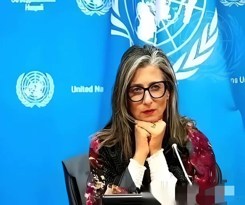 联合国里，终于来了个狠人。一个叫阿尔巴内塞的女人，当着全世界的面，把一份报告直