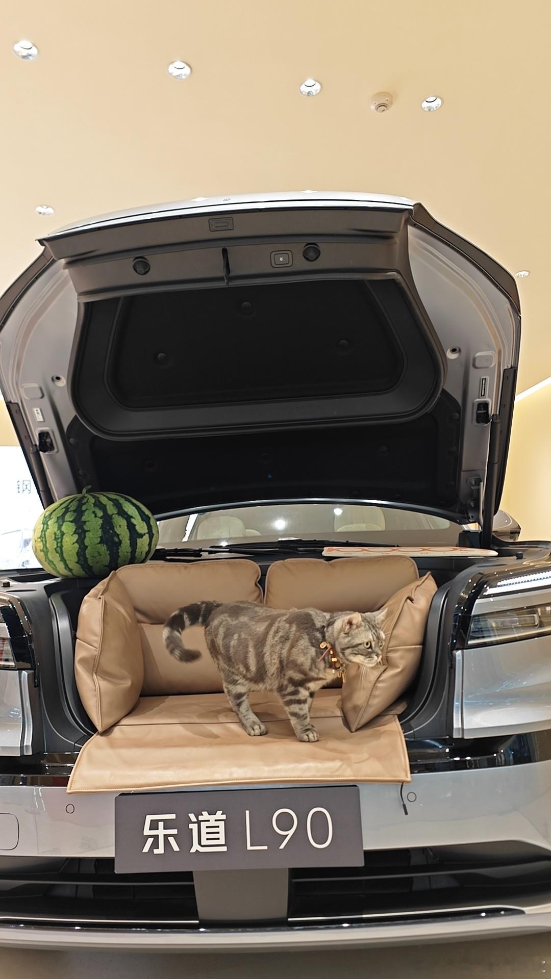 我愿称之为“乐道L90前备舱沙发最好的拍照主角”！！乐道L90前备舱的拍