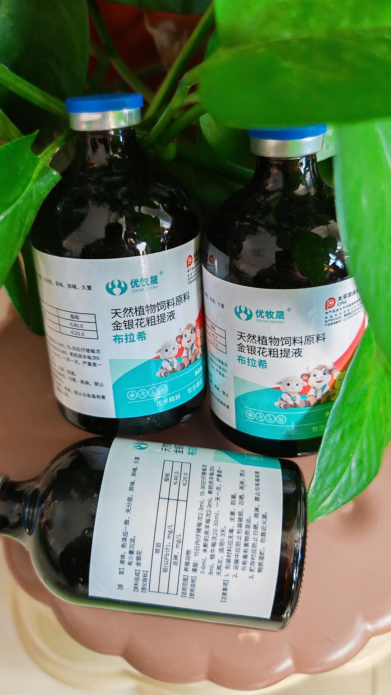 养羊人农村养羊养殖场专用