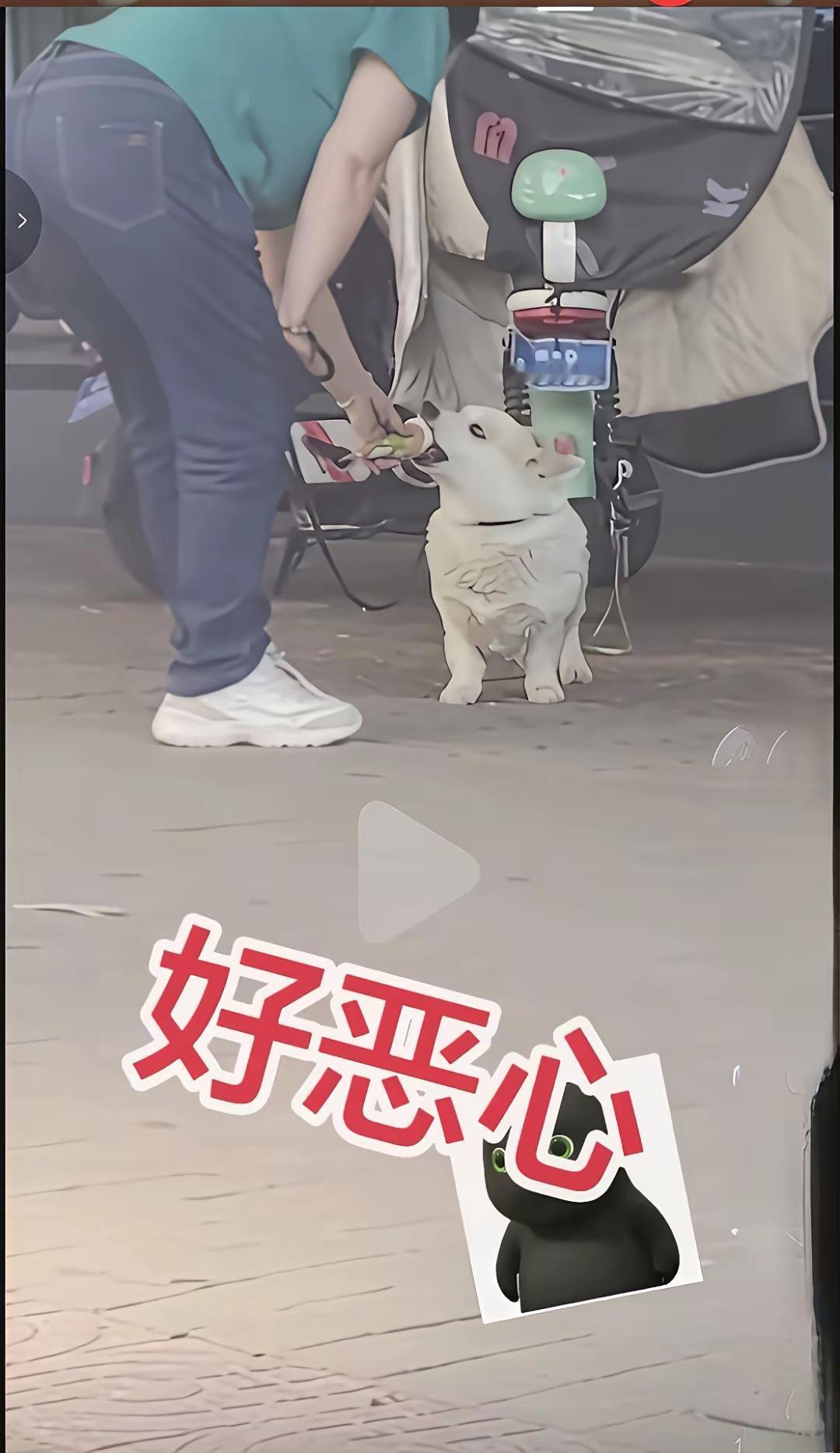 这真是亲生的啊，狗吃完舔两口，自己再吃。真做到了人狗同吃。假如这位大姐有