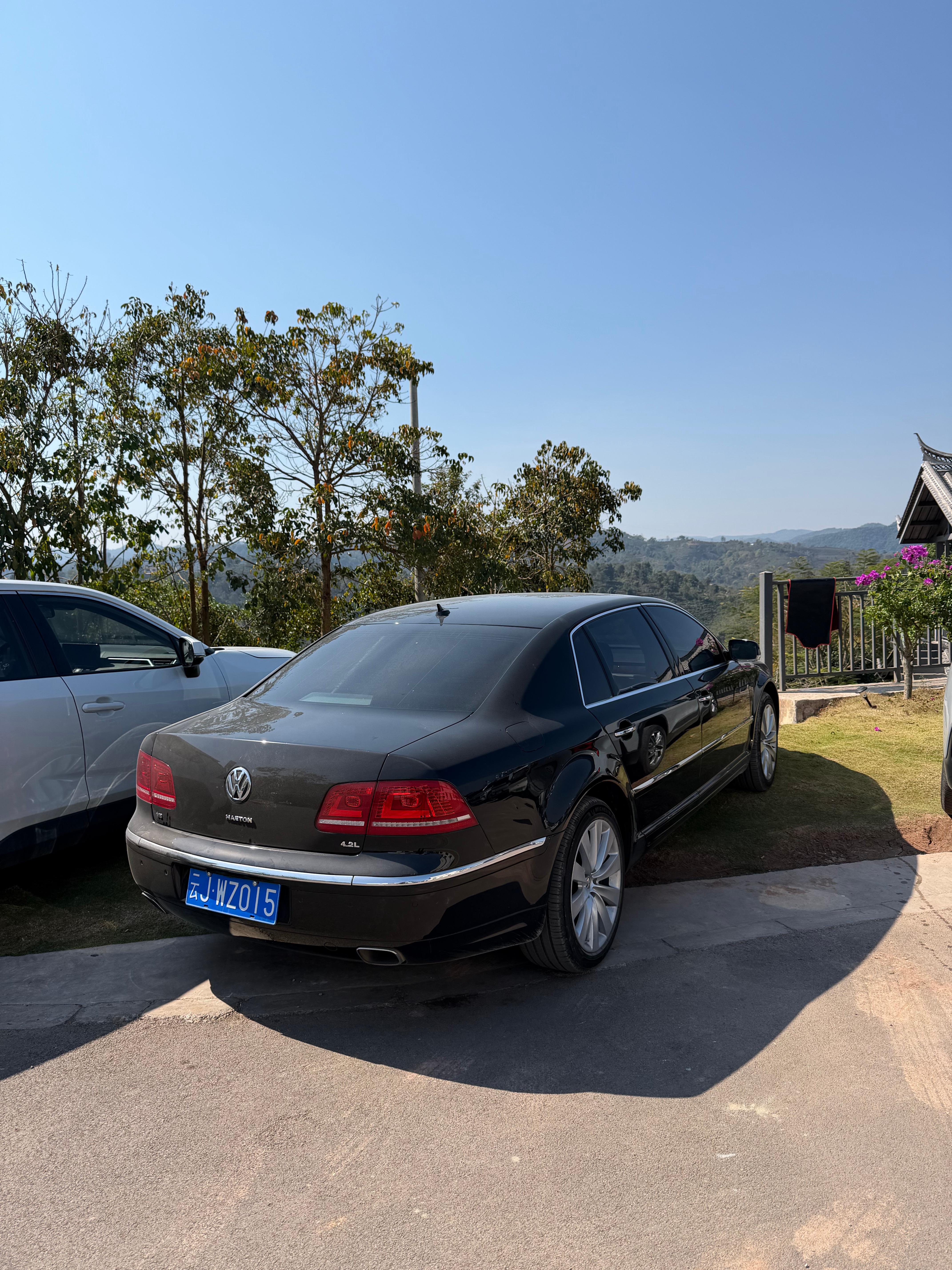 列位瞅瞅俺酒店门口来了啥，山里的酒店哦，没想到可以遇到这玩意儿，真大哥了可以说，